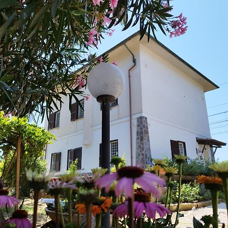 Bed and Breakfast La Domus Di Cosa à Ansedónia Extérieur photo