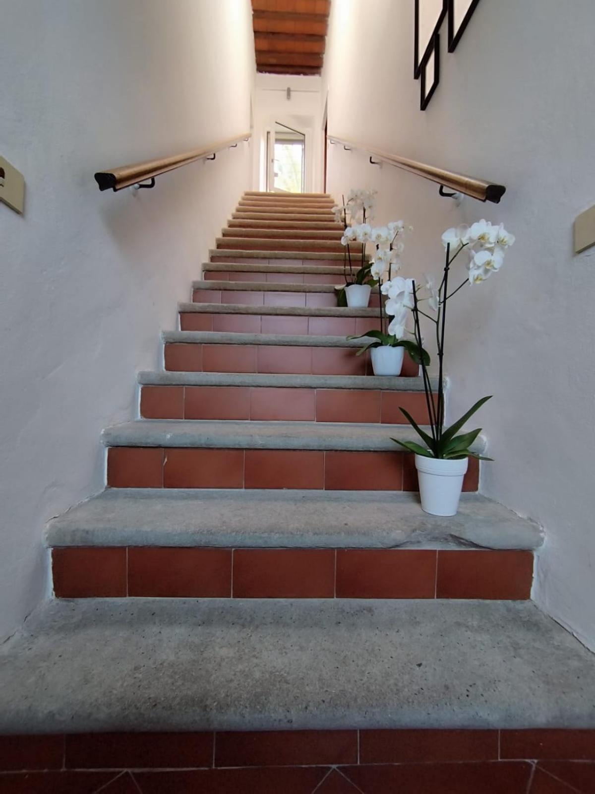Bed and Breakfast La Domus Di Cosa à Ansedónia Extérieur photo