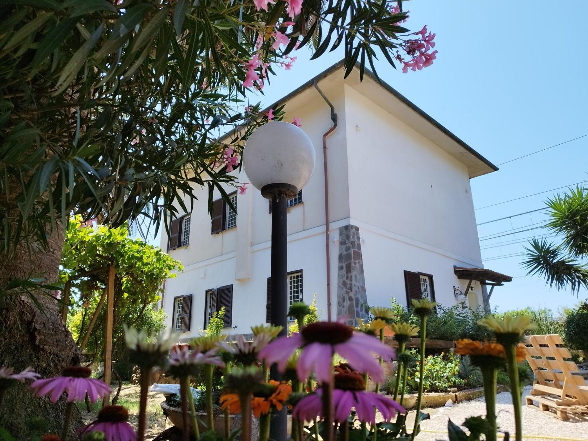 Bed and Breakfast La Domus Di Cosa à Ansedónia Extérieur photo