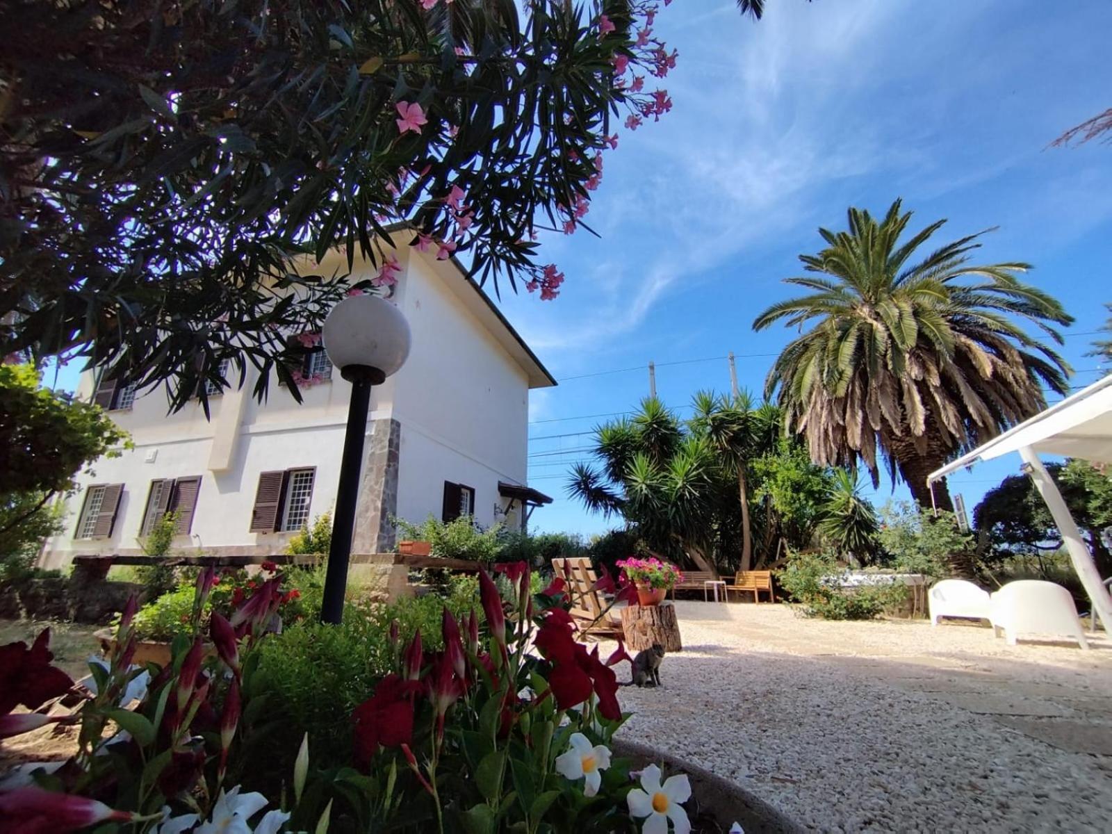 Bed and Breakfast La Domus Di Cosa à Ansedónia Extérieur photo